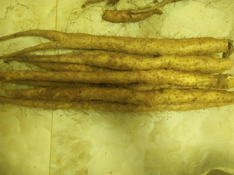 细毛山药3~4厘米40~50厘米一级