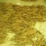 细毛山药3~4厘米40~50厘米一级