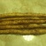 细毛山药3~4厘米40~50厘米一级