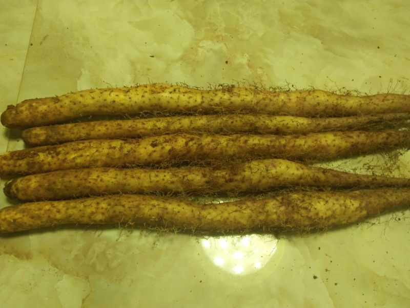细毛山药3~4厘米40~50厘米一级