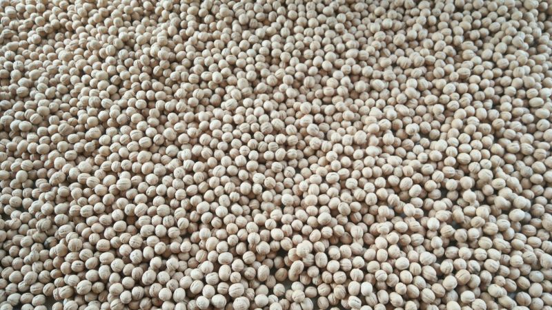 香玲核桃30mm以上去皮干