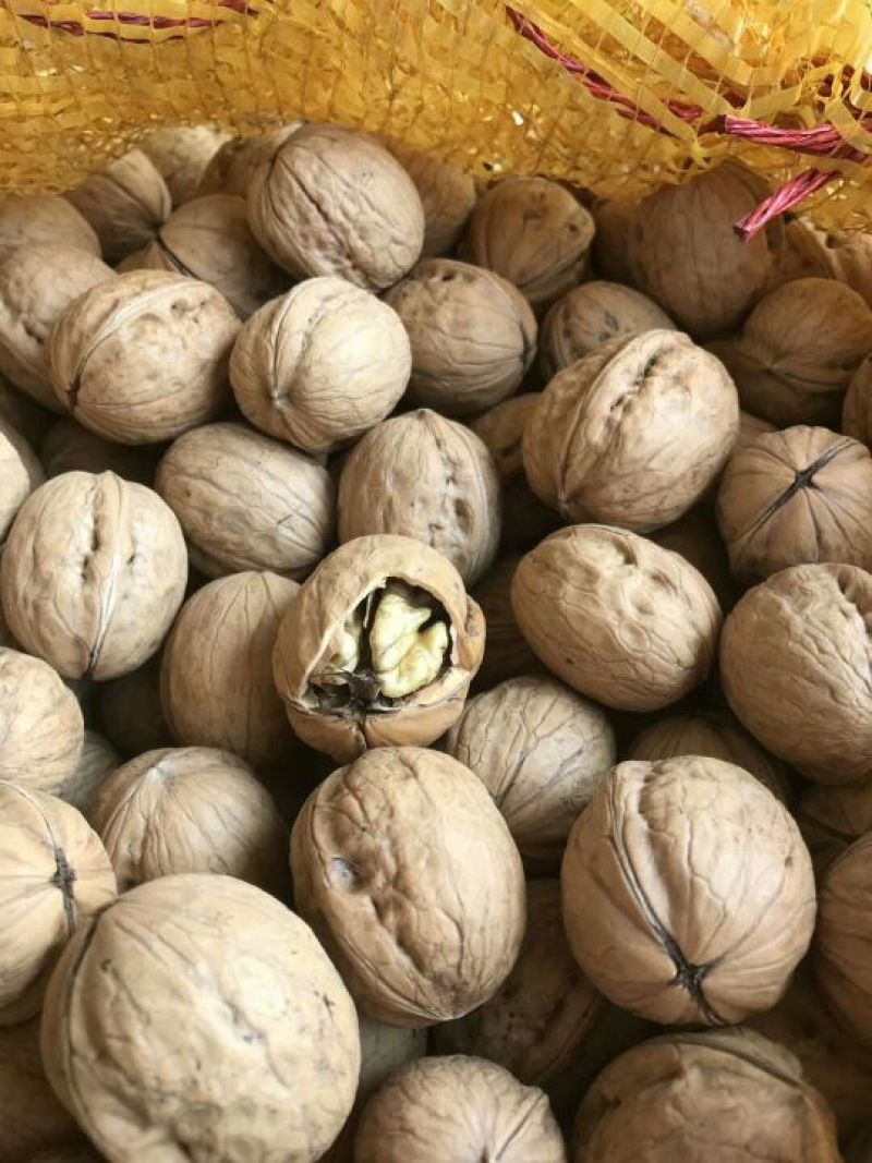 香玲核桃30mm以上去皮干