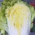 黄心菜白菜净菜4~6斤