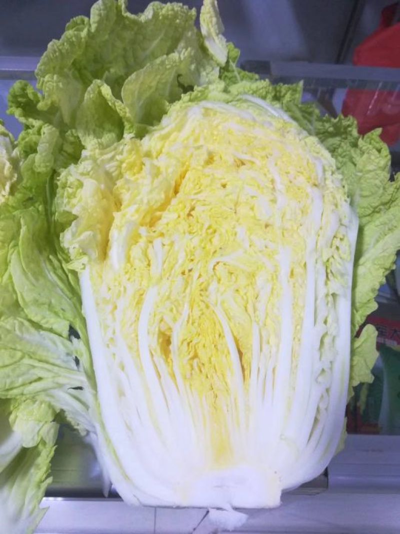 黄心菜白菜净菜4~6斤