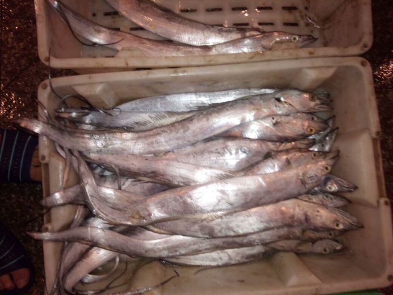 梭子蟹食用