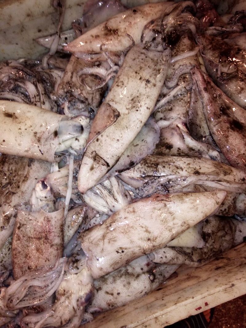 梭子蟹食用
