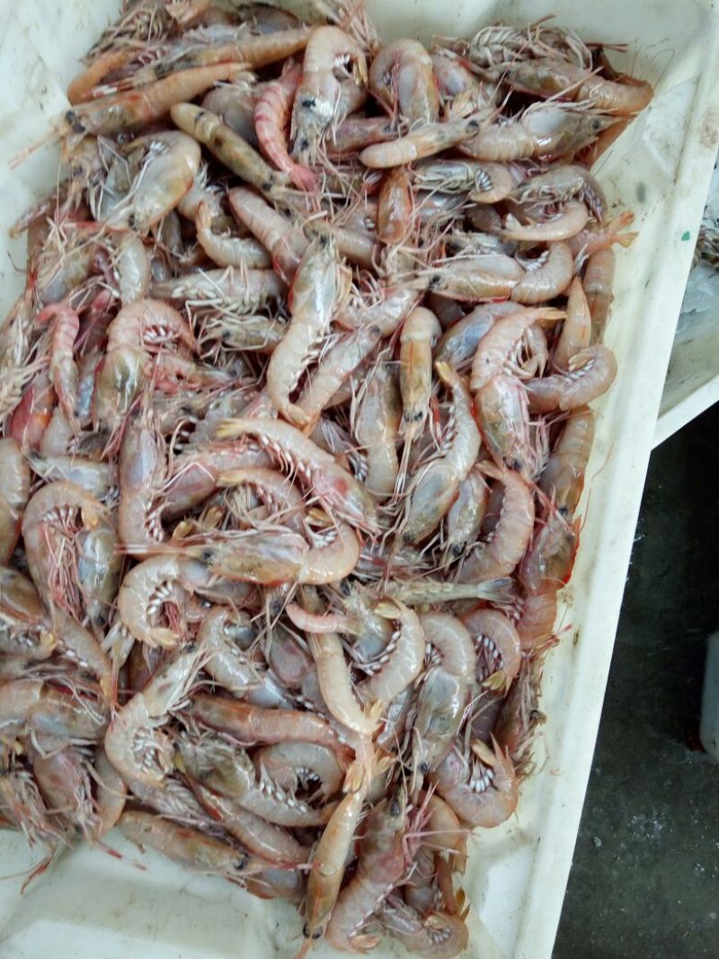 梭子蟹食用