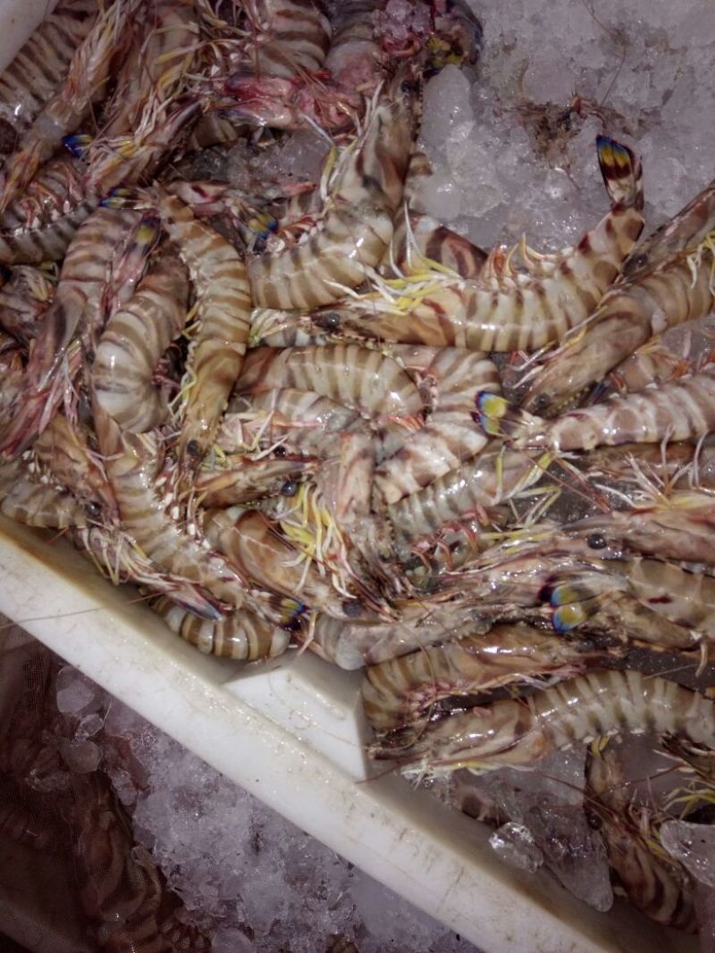 梭子蟹食用