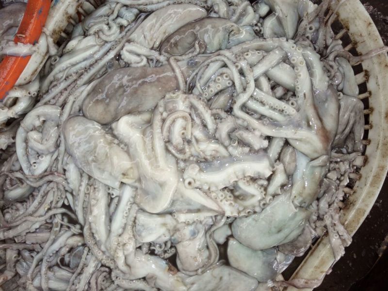 梭子蟹食用