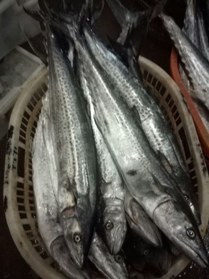 梭子蟹食用
