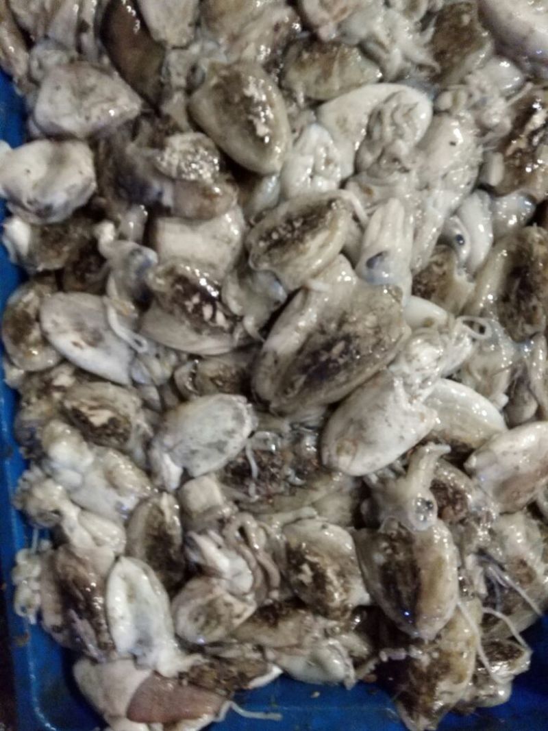 梭子蟹食用
