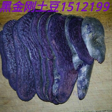 黑金刚土豆无农药无污染有机食品