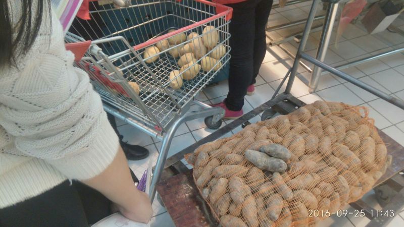 黑金刚土豆无农药无污染有机食品