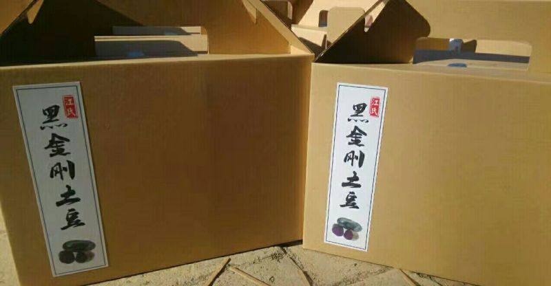 黑金刚土豆无农药无污染有机食品