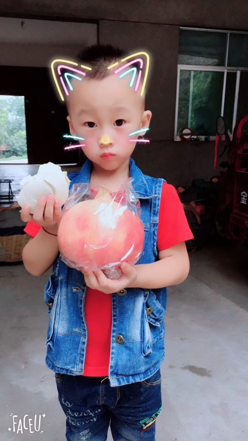 临潼突尼斯软籽红心超甜产地直发陕西特产临潼石榴