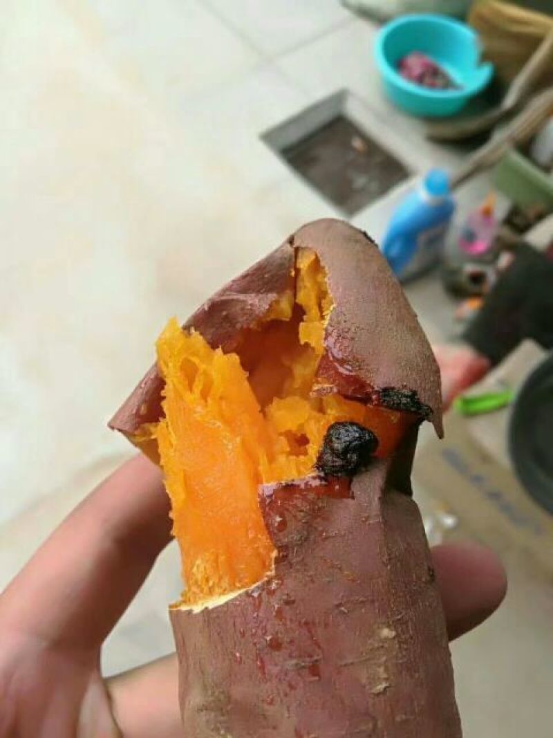 烟薯25烤薯半斤以上