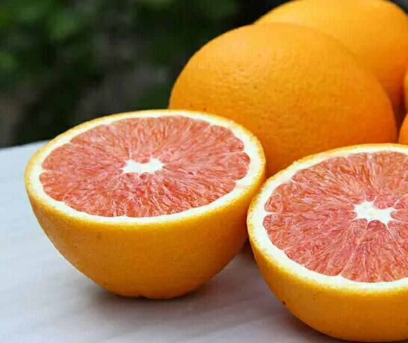 精品血橙中华红血橙橙子产地柑橘诚交天下朋友