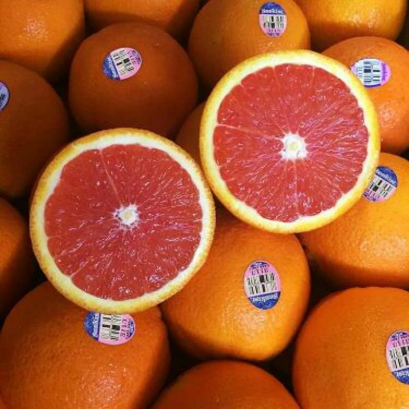 精品血橙中华红血橙橙子产地柑橘诚交天下朋友
