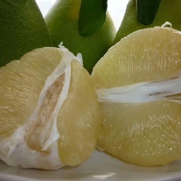 灌溪蜜柚果园看货，现场采摘保质保量