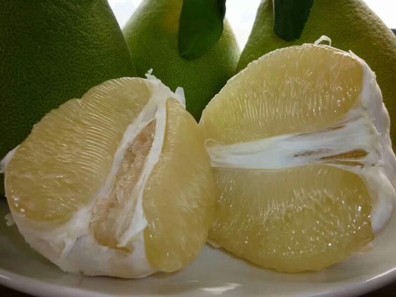 灌溪蜜柚果园看货，现场采摘保质保量