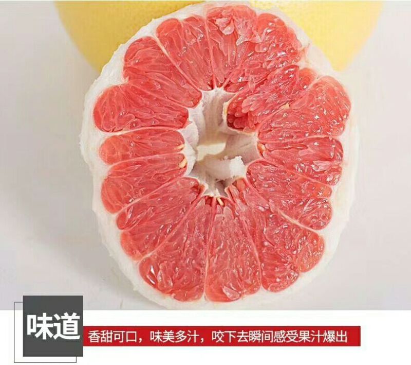灌溪蜜柚果园看货，现场采摘保质保量