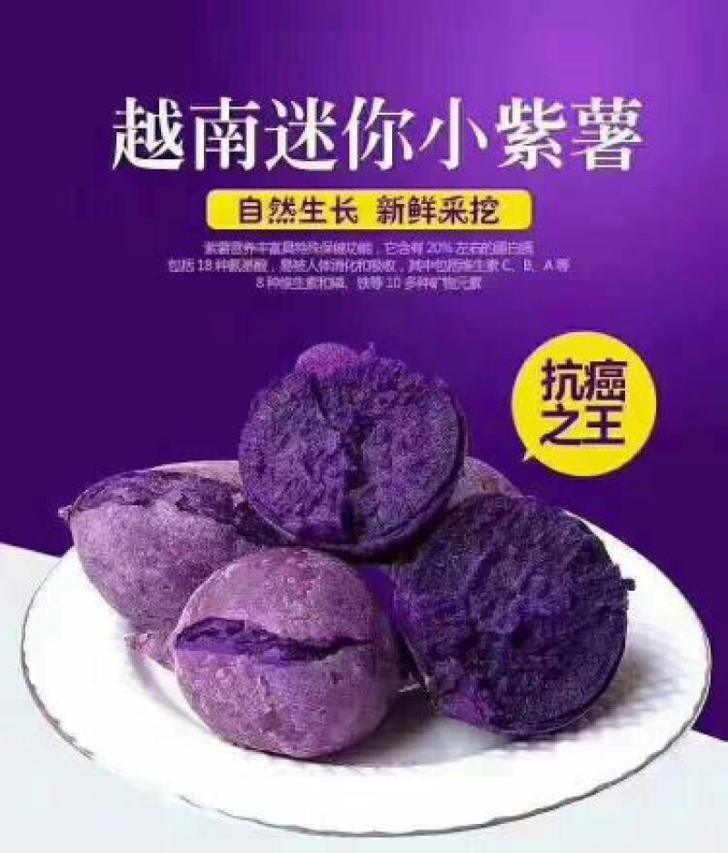 紫薯全粉