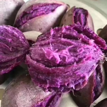 紫薯全粉