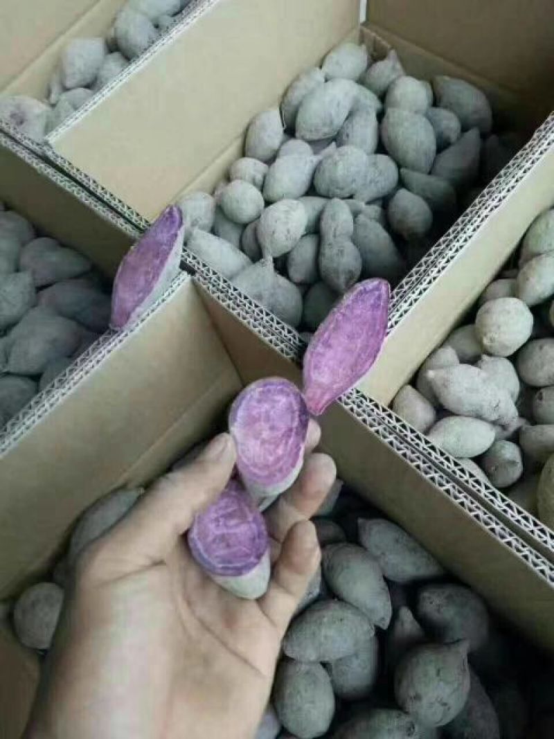 紫薯全粉