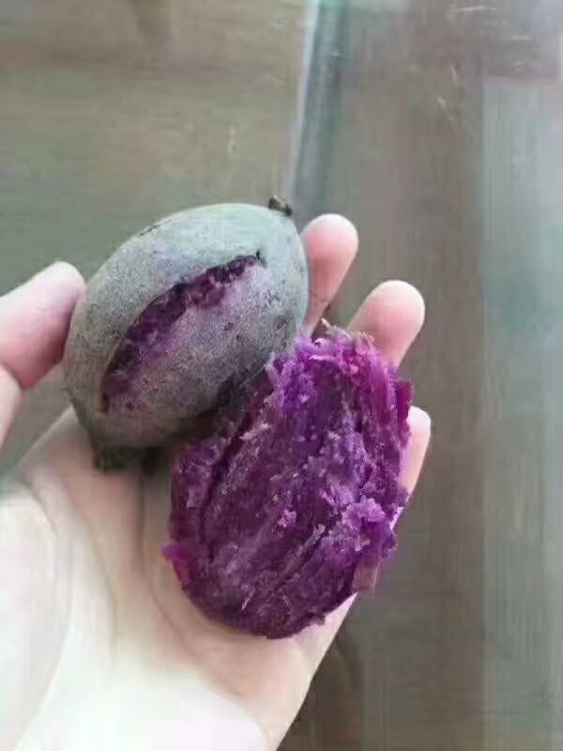 紫薯全粉