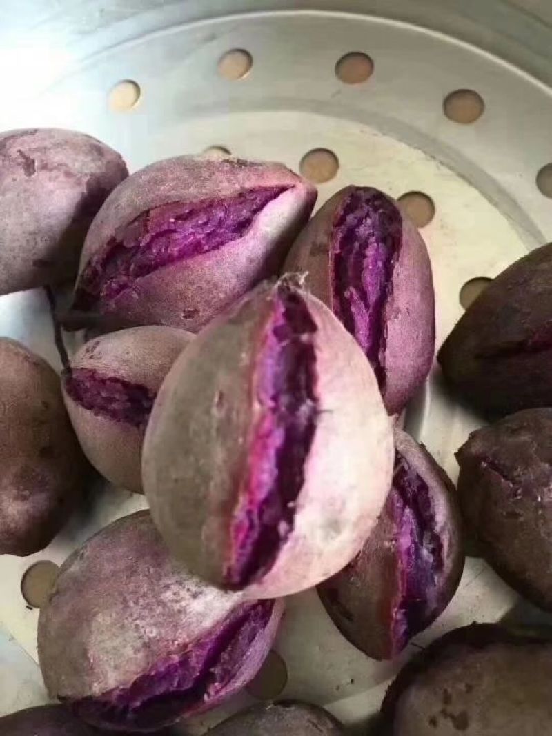 紫薯全粉