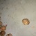 核桃去皮干