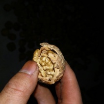 核桃去皮干