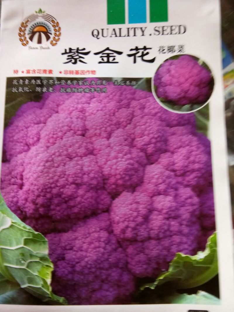 西兰花种子