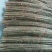 铁棍山药2厘米以下二级通货30~40厘米