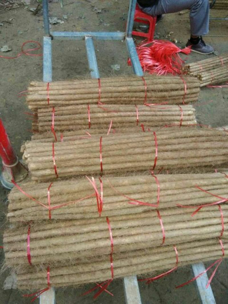 铁棍山药2厘米以下二级通货30~40厘米