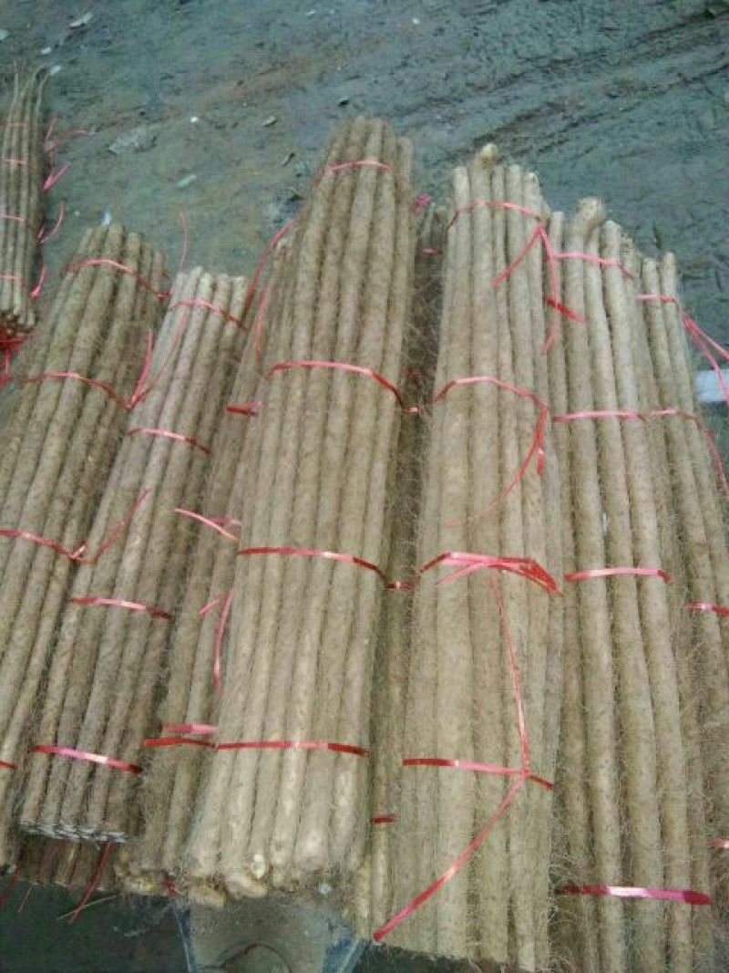 铁棍山药2厘米以下二级通货30~40厘米