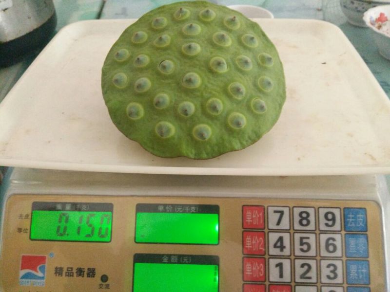 莲子壳