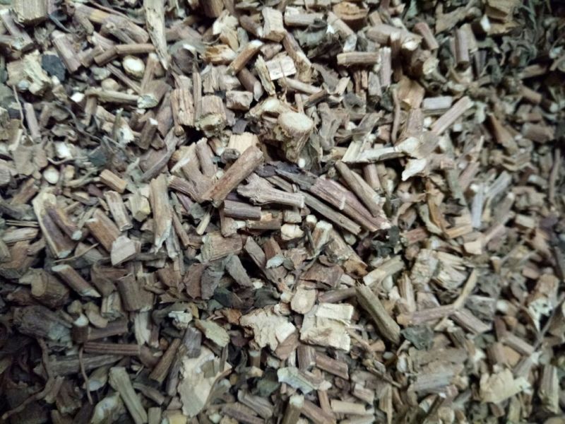 广藿香全草干货带叶含量高量大从优常年经营各种中药材