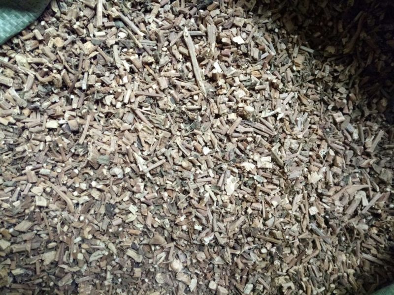 广藿香全草干货带叶含量高量大从优常年经营各种中药材