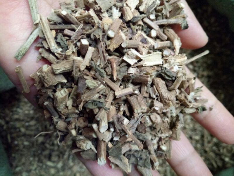 广藿香全草干货带叶含量高量大从优常年经营各种中药材