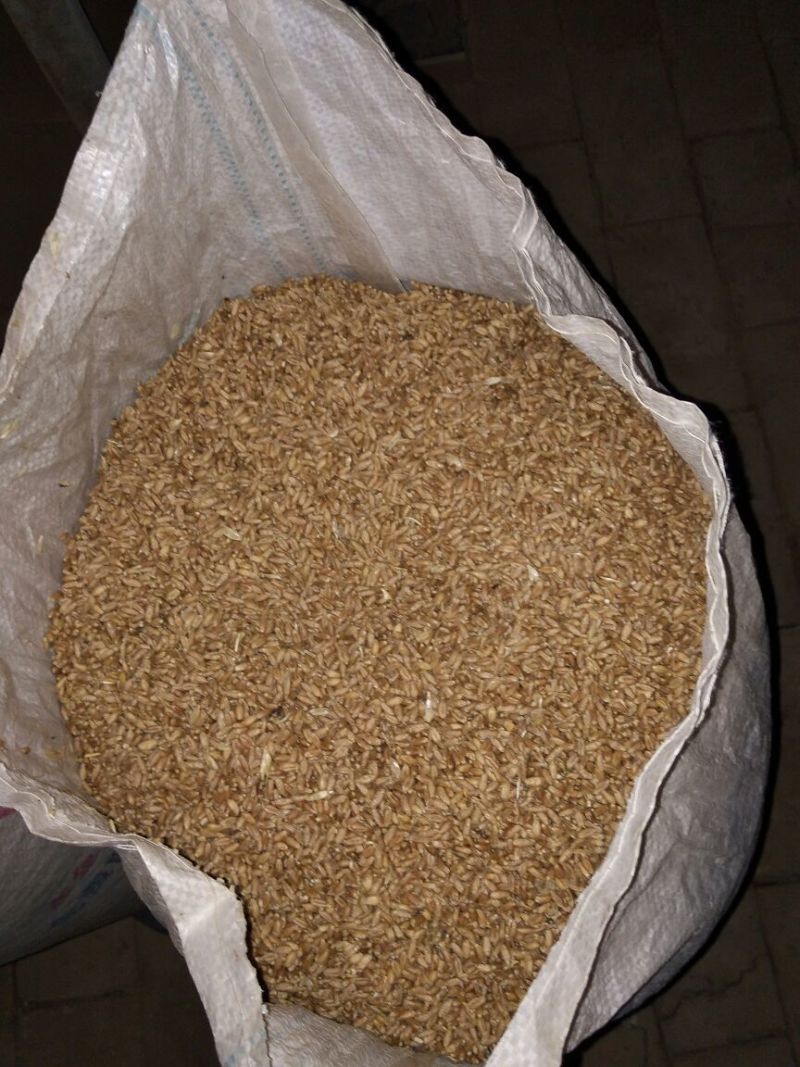 小麦12.5%以下