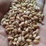 小麦12.5%以下