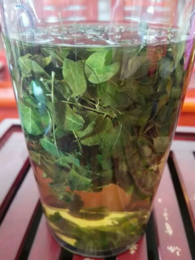 辣木茶特级