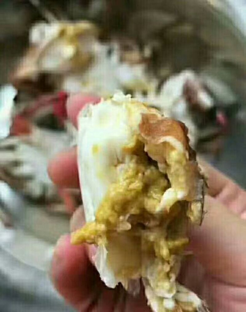 梭子蟹食用