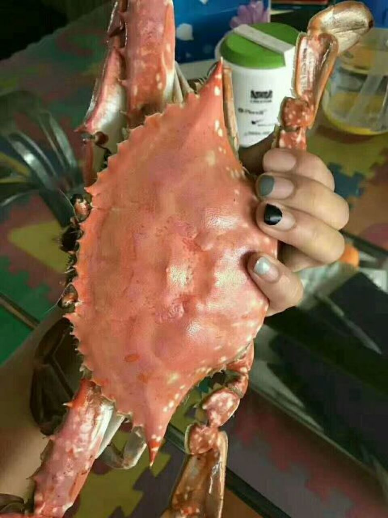 梭子蟹食用