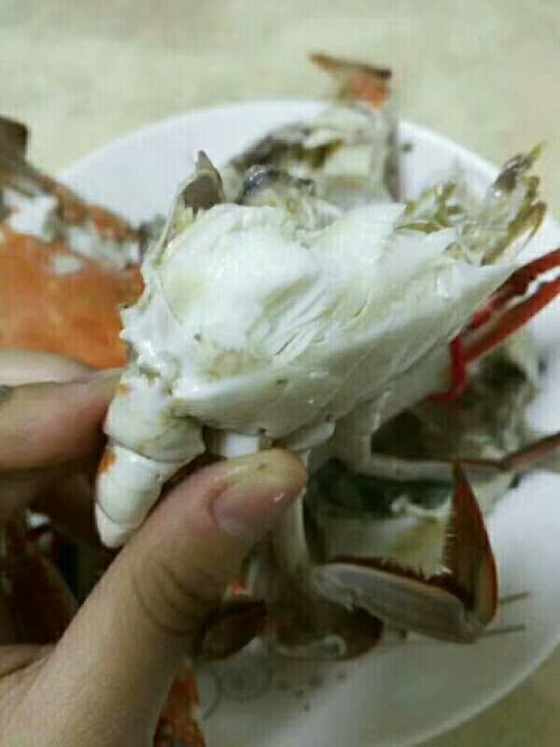 梭子蟹食用