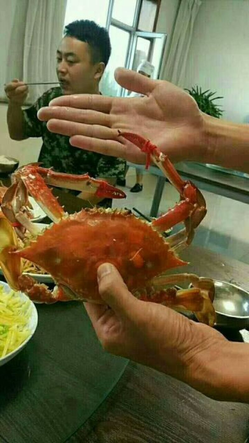 梭子蟹食用