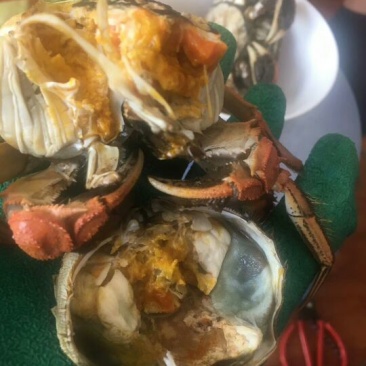 河蟹食用雌1.7-1.9两/只