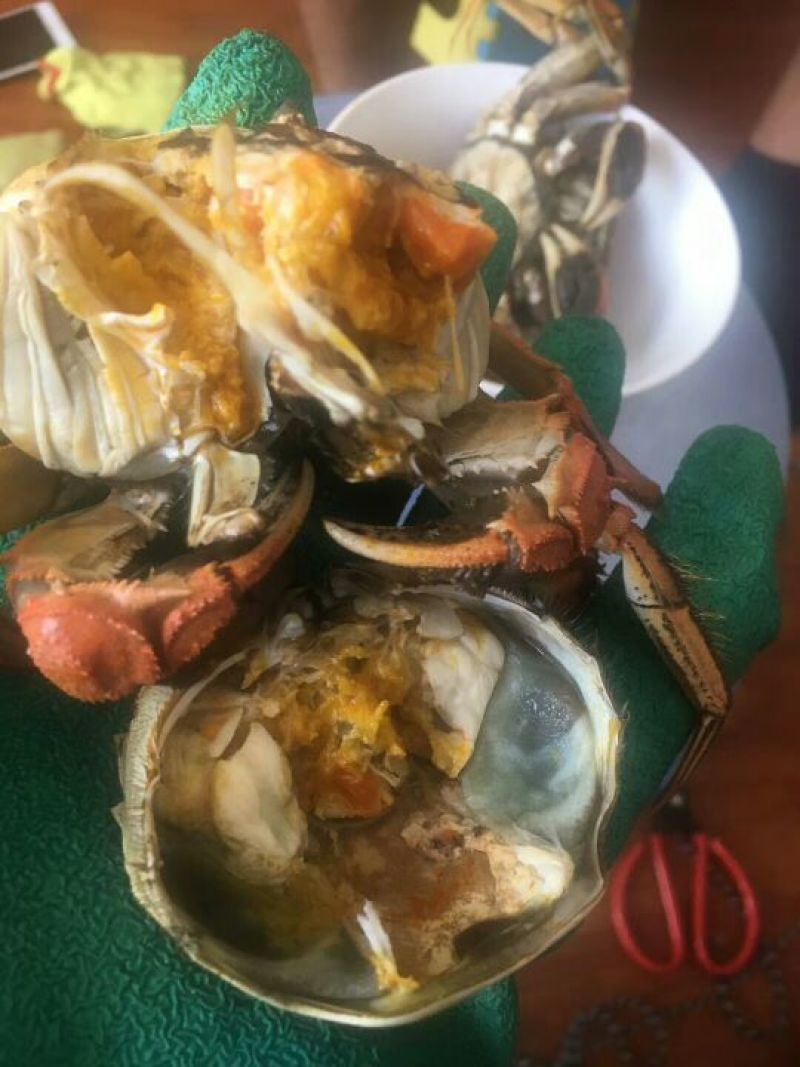 河蟹食用雌1.7-1.9两/只