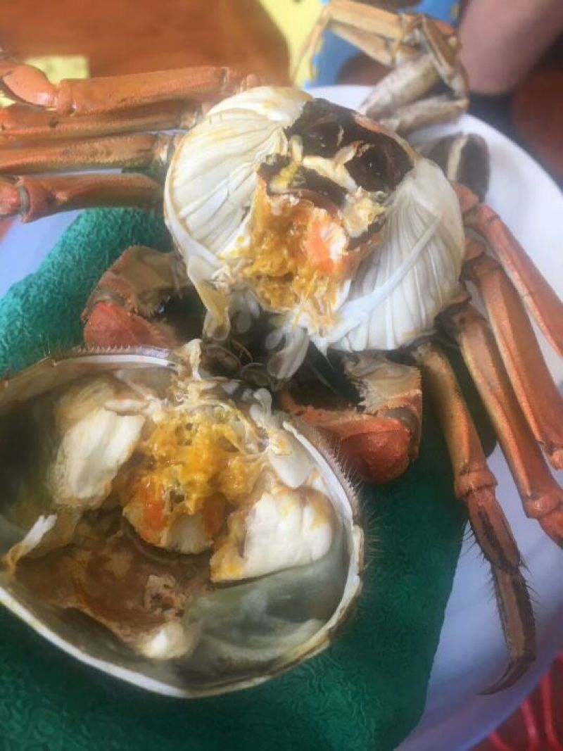 河蟹食用雌1.7-1.9两/只